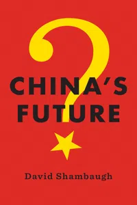 China's Future_cover