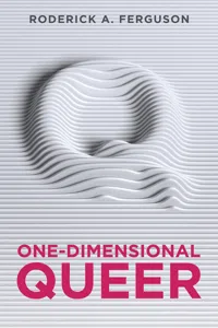 One-Dimensional Queer_cover