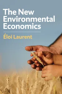 The New Environmental Economics_cover
