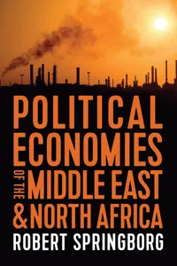 Political Economies of the Middle East and North Africa_cover