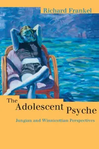 The Adolescent Psyche_cover