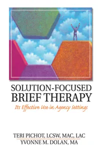 Solution-Focused Brief Therapy_cover