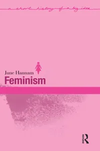 Feminism_cover