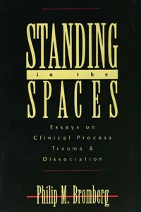 Standing in the Spaces_cover