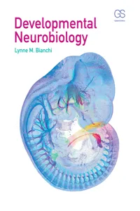 Developmental Neurobiology_cover
