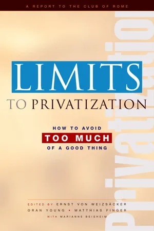 Limits to Privatization