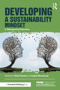 Developing a Sustainability Mindset in Management Education_cover