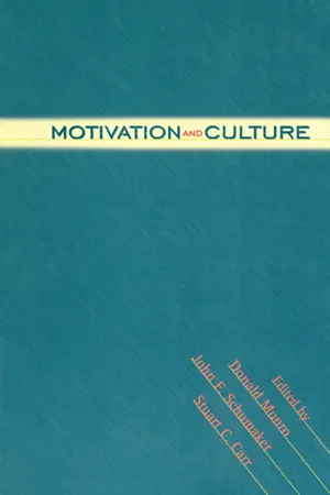 Motivation and Culture