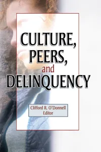 Culture, Peers, and Delinquency_cover