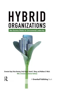 Hybrid Organizations_cover