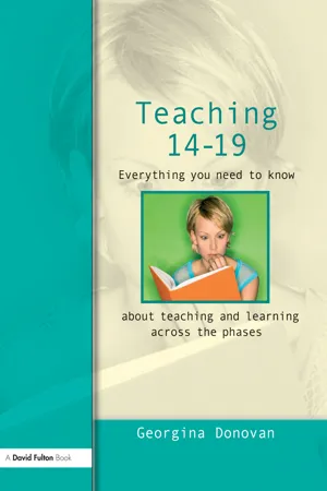 Teaching 14-19