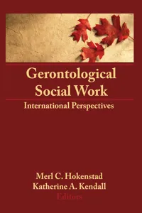 Gerontological Social Work_cover