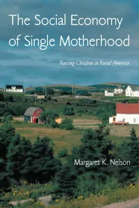 The Social Economy of Single Motherhood_cover