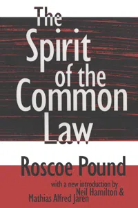 The Spirit of the Common Law_cover