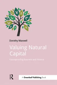 Valuing Natural Capital_cover