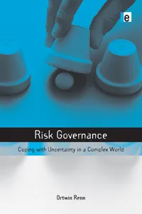 Risk Governance_cover