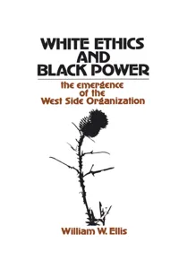 White Ethics and Black Power_cover