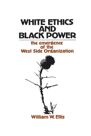 White Ethics and Black Power