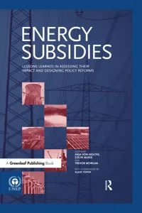 Energy Subsidies_cover