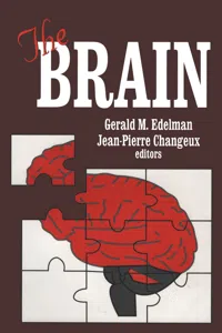 The Brain_cover