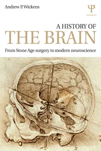 A History of the Brain_cover