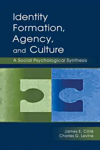 Identity, Formation, Agency, and Culture_cover