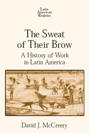 The Sweat of Their Brow: A History of Work in Latin America