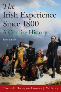 The Irish Experience Since 1800: A Concise History_cover