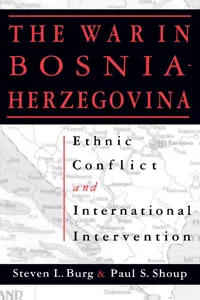 The War in Bosnia-Herzegovina_cover