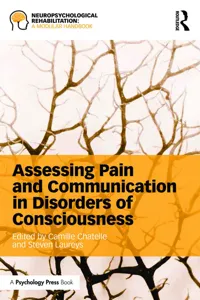 Assessing Pain and Communication in Disorders of Consciousness_cover