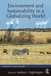 Environment and Sustainability in a Globalizing World_cover