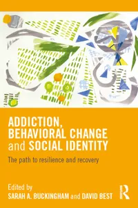 Addiction, Behavioral Change and Social Identity_cover