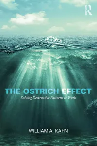 The Ostrich Effect_cover