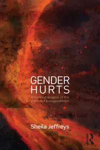 Gender Hurts_cover