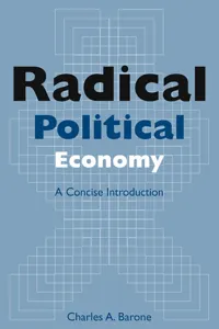 Radical Political Economy: A Concise Introduction_cover