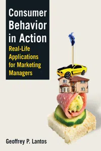 Consumer Behavior in Action_cover