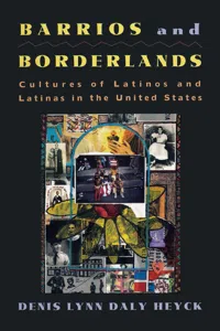 Barrios and Borderlands_cover