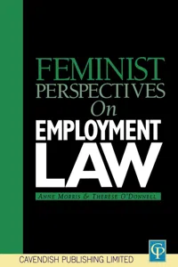 Feminist Perspectives on Employment Law_cover