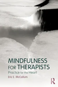 Mindfulness for Therapists_cover