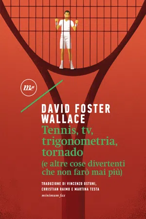 Tennis, tv, trigonometria, tornado (e altre cose divertenti che non farò mai più)