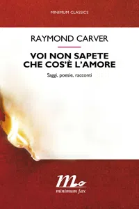 Voi non sapete che cos'è l'amore_cover