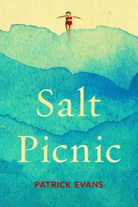 Salt Picnic_cover