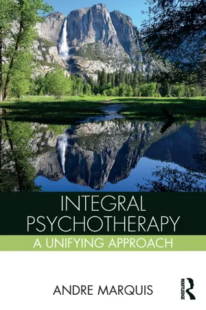 Integral Psychotherapy