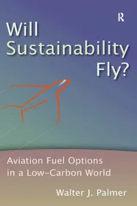Will Sustainability Fly?_cover