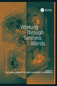 Working Through Synthetic Worlds_cover