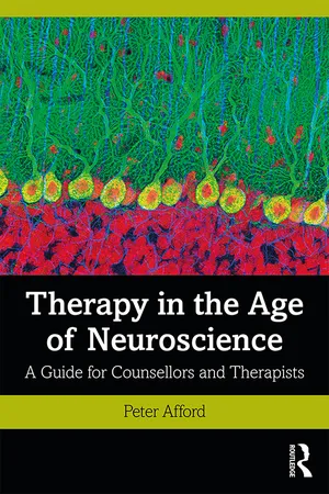 Therapy in the Age of Neuroscience