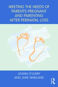 Meeting the Needs of Parents Pregnant and Parenting After Perinatal Loss_cover