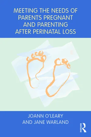 Meeting the Needs of Parents Pregnant and Parenting After Perinatal Loss