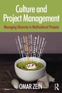 Culture and Project Management_cover