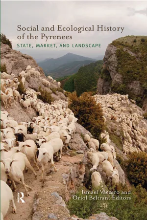 Social and Ecological History of the Pyrenees